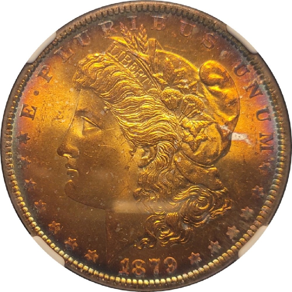 1879-$1-Morgan-Silver-Dollar-Obverse-Toned